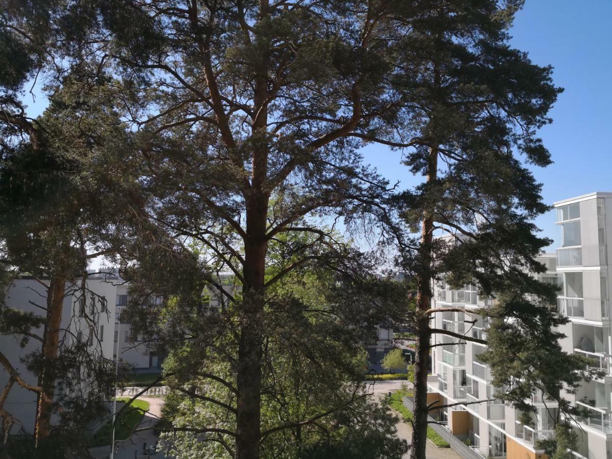 Charming Pine View Apartment فانتا المظهر الخارجي الصورة