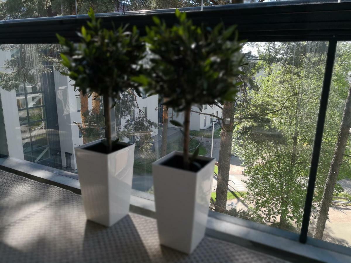 Charming Pine View Apartment فانتا المظهر الخارجي الصورة
