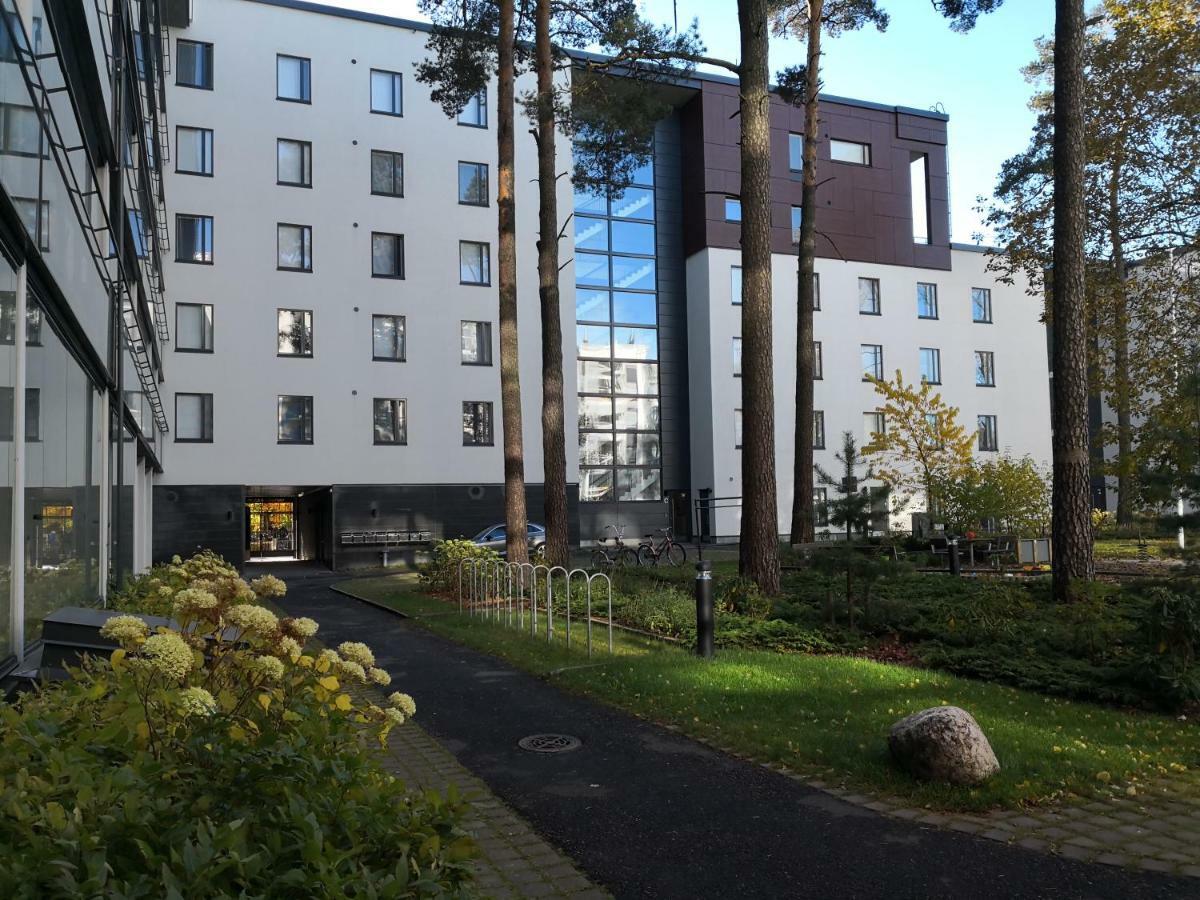 Charming Pine View Apartment فانتا المظهر الخارجي الصورة